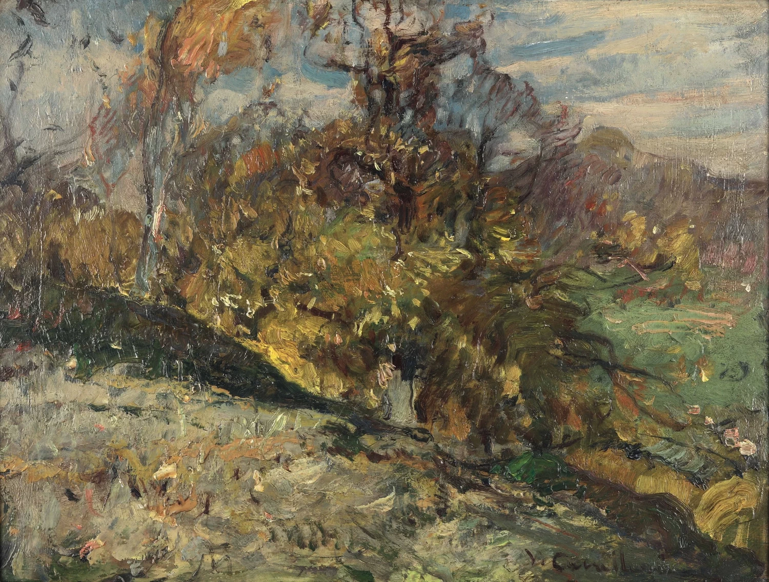 Scorcio montano